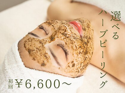 プラム(PLUM)の写真