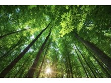 アロマ アンド ドライヘッドスパ 至福のひととき/日々のストレスやお疲れから解放