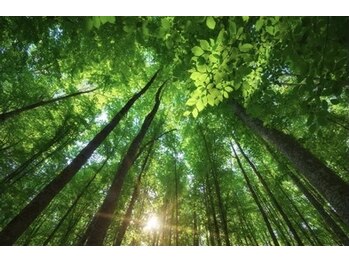 アロマ アンド ドライヘッドスパ 至福のひととき/日々のストレスやお疲れから解放