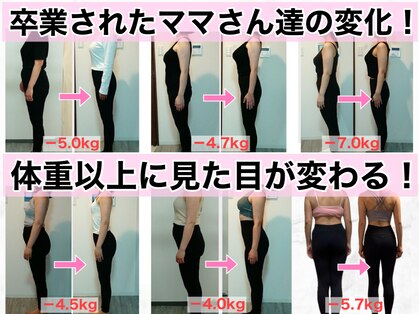 整体ニコナ(nicona)の写真