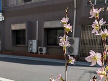 ヴィスターネイル 赤坂店(Vistar nail)/