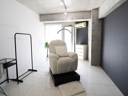 シロ(shiro)の写真