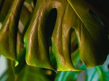 ベスト整体/開業20年の実績