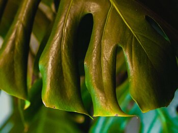 ベスト整体/開業20年の実績