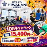 ヒワラニ 神田駅前店(HIWALANI)