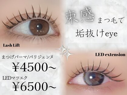 エル(Elle)の写真