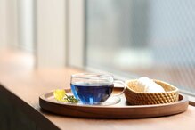 シックスツリー(Six tree)