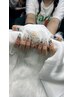 ◇HAND◇持ち込みデザインOK！150分やり放題¥11530⇒¥10530