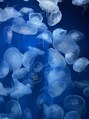 コービーネイル(Kobe nail)&nbsp;水族館のクラゲに癒されに1人でも行きます。