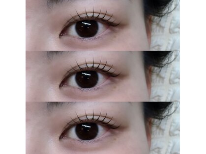 ウィタ(Wita)の写真