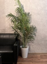 メンズ ティ(Men's T)/メンズ脱毛専門サロン Men'sT