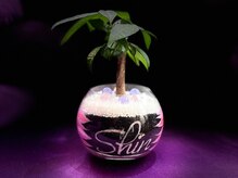 シン(Shin)の雰囲気（5月中旬からドリンクサービス始まります！）