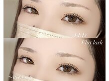 リアン(Re&Co.)/LEDフラットラッシュ120本