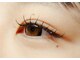 アティック(attic)の写真