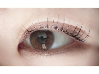 ロウ 裾野(Law)/LASH LIFT