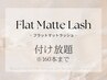 【新規】最高級フラットマットラッシュ【160本】＋アイシャンプー/¥5980