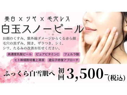 レイビス 札幌店(RAYVIS)の写真