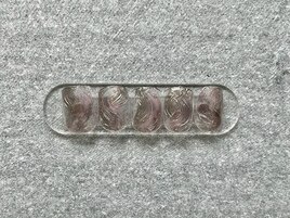 ニュアンス定額