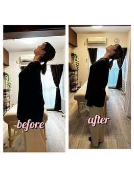  ネクターン ルミエール(Nekturn' Lumiere)/肩こり首こり、猫背に◎