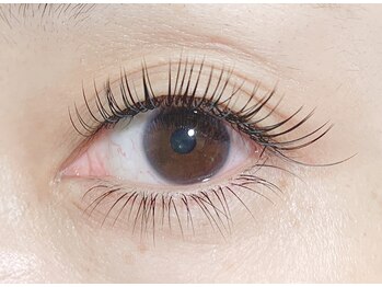 エイトラッシュ(8-lash)/上下付け放題＋ポイントカラー