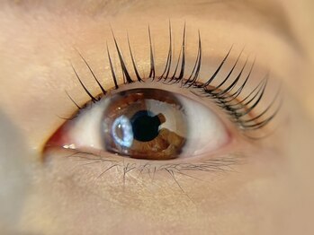 アイラッシュサロンラコタ 池袋東口店(RACOTA)/ラッシュリフト