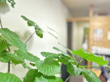 鍼灸治療院 森空堂 本院/木を基調とした広々とした空間