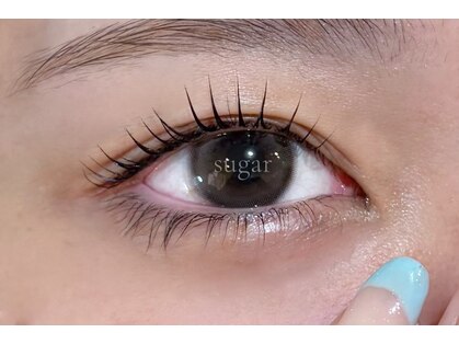 シュガー(Sugar)の写真
