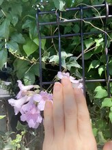 桃の木 吉祥寺店/自爪散歩　