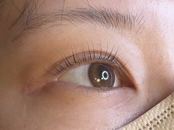 ラシク ベル(Lashiku Belle)/パリジェンヌラッシュリフト