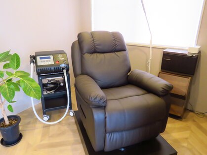 アルメリアリッセ(Armeria lisse)の写真