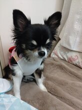 マギーサロン&nbsp;牧 美紀枝