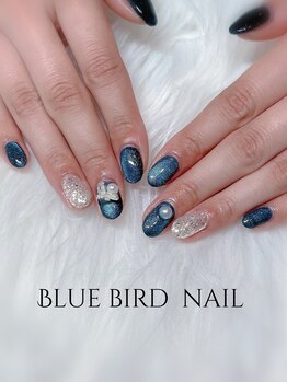 ブルーバードネイル(Blue bird nail)/マグネットネイル