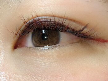 キャンプス(Camps)/レッドブラウンMIX