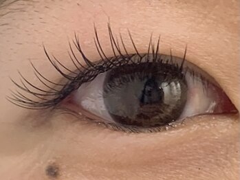 カラン 焼津店(CALIN)/フラットラッシュ100本