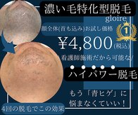 グロワール(gloire)