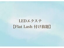サロン ラウレア(salon laule'a)/LEDエクステ付け放題
