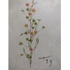 十季月(トキツキ)のお店ロゴ