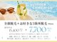 クレビア(CREBIA)の写真