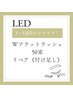 【リペアメニュー】LEDマツエク★Wフラットリペア50束