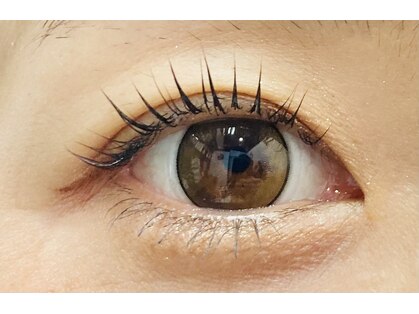 テゾーロ アイラッシュ(TESORO)の写真