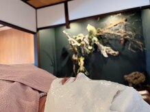 オンカツ(ONKATU)/エンビロン/ビタミンイオン導入