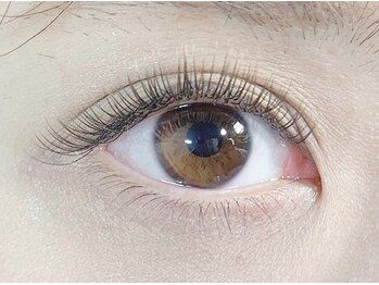 エイトラッシュ(8-lash)/grayish brown