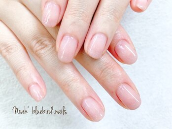 ノアブルーバードネイルズ(Noah' bluebird .nails)/上品！オフィスネイル