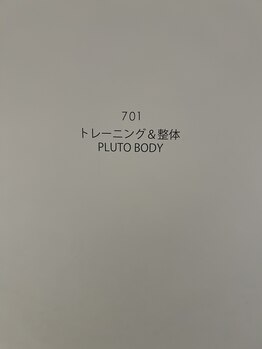 プルートボディ(PLUTO BODY)/外観2