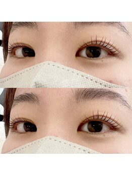 エイルビューティートランク(EIL beauty TRUNK)/ラッシュリフト/まつげパーマ