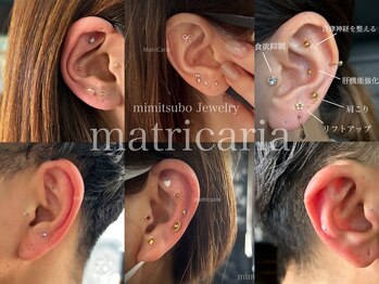 マトリカリア(MatriCaria)/