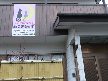 リラ ねこのシッポ/