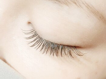 リノ リノ(Lino.Lino)/マツエク120本