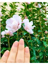 桃の木 吉祥寺店/自爪散歩　ムクゲ木槿