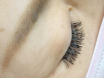 プラム(plum)の写真/濃さもボリュームも出したい方にオススメ【パーフェクトラッシュ】特許技術による圧倒的持続力と軽さ◎